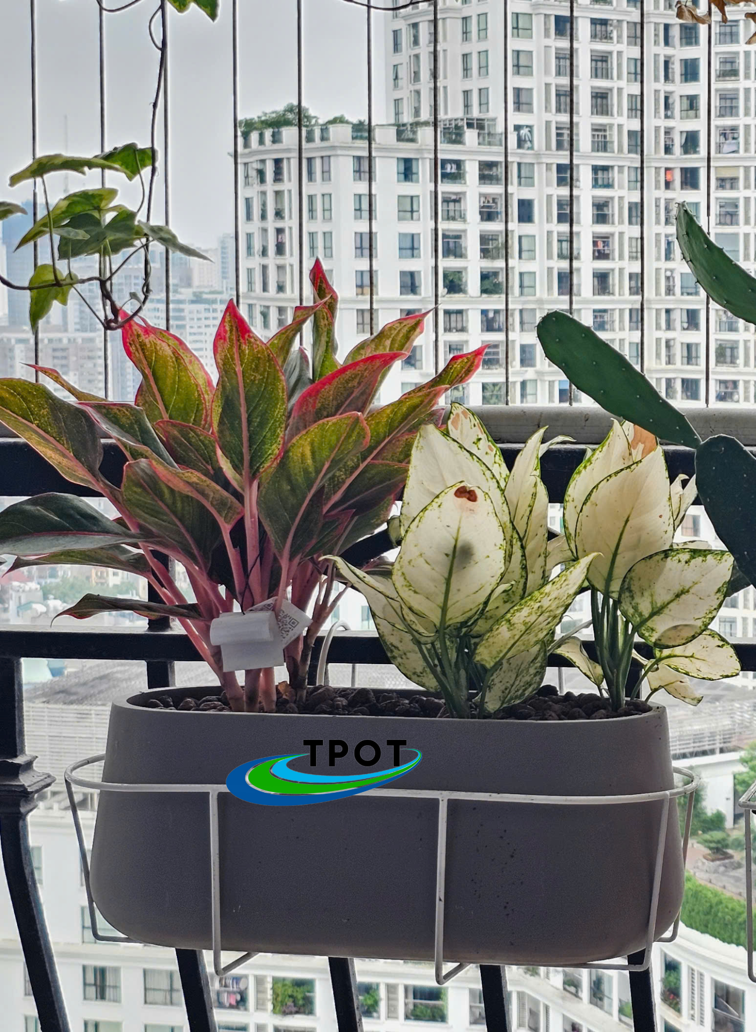 Giỏ Chữ Nhật Góc Tròn Treo Chậu Composite