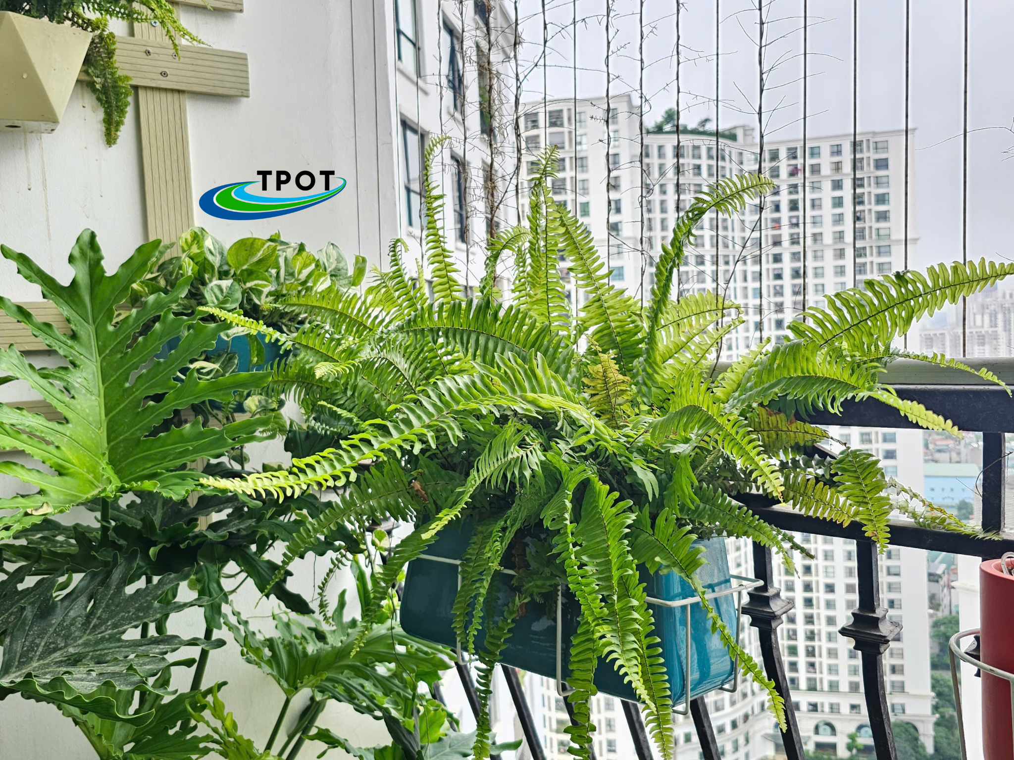 Giỏ Chữ Nhật Treo Chậu Composite