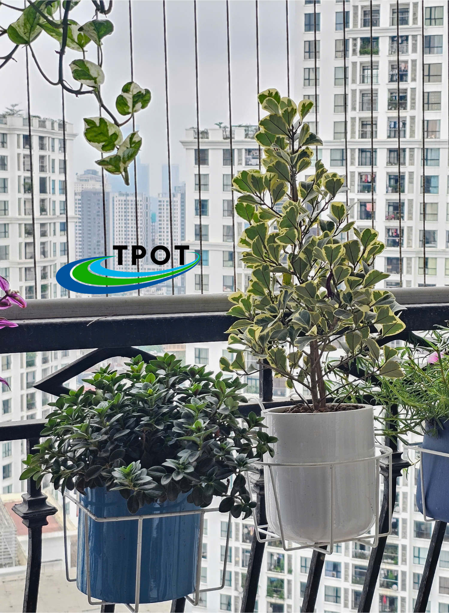 Giỏ Tròn Treo Chậu Composite