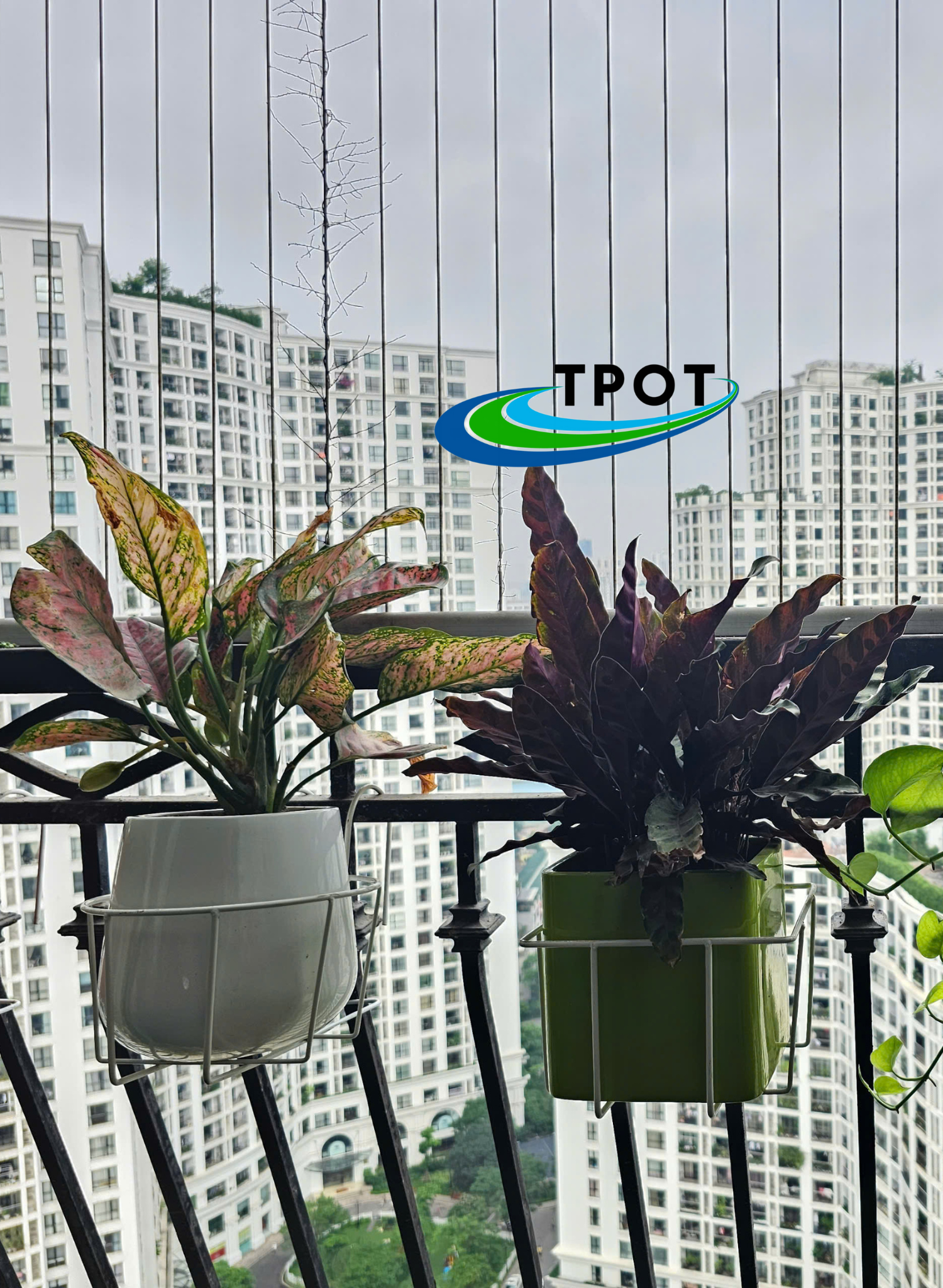Giỏ Vuông Treo Chậu Composite