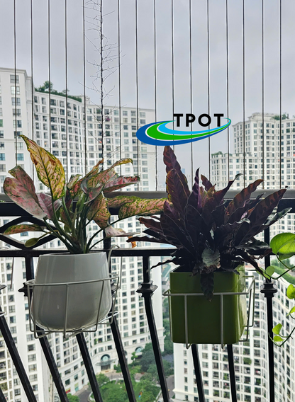 Giỏ Vuông Treo Chậu Composite
