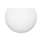 CT11M01 - Màu Trắng