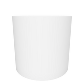 CT13M01 - Màu Trắng