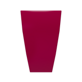 CS11M13 - Đỏ Đô