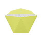 CT9M15 - Xanh Lá Cây Vàng