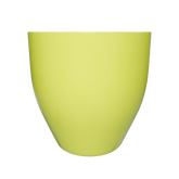 CT14M15 - Xanh Lá Cây Vàng