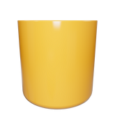 CS28M16 - Cam Nhạt