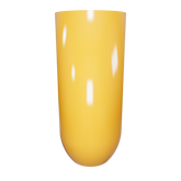 CS29M16 - Cam Nhạt