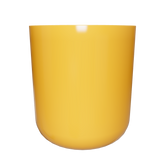 CT17M16 - Cam Nhạt