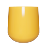 CT18M16 - Cam Nhạt