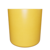 CS28M02 - Nhũ Đồng